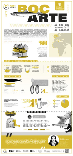 Poster-Bocarte-12meses-12peces-COST-IEO-CSIC-Proyecto_Mimar-2024