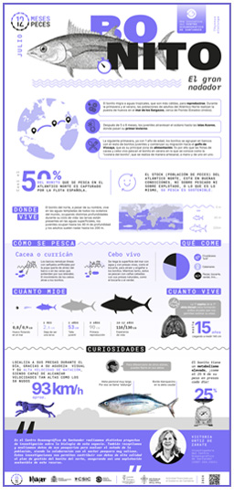 Poster-Bonito-12meses-12peces-COST-IEO-CSIC-Proyecto_Mimar-2024