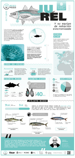 Poster-Jurel-12meses-12peces-COST-IEO-CSIC-Proyecto_Mimar-2024