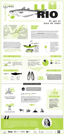 Poster-Lirio-12meses-12peces-COST-IEO-CSIC-Proyecto_Mimar-2024