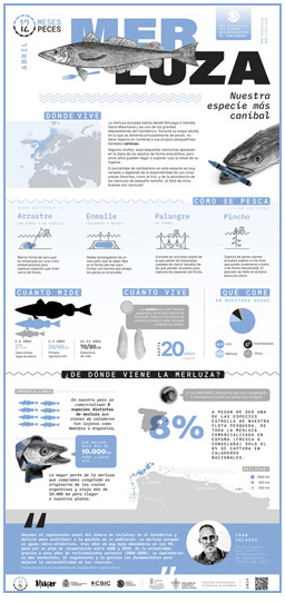 Poster-Merluza-12meses-12peces-COST-IEO-CSIC-Proyecto_Mimar-2024