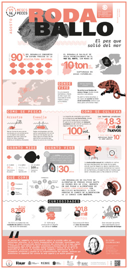 Poster-Rodaballo-12meses-12peces-COST-IEO-CSIC-Proyecto_Mimar-2024