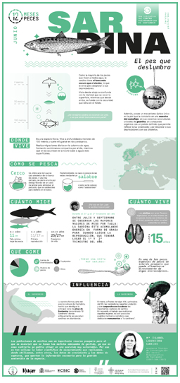 Poster-Sardina-12meses-12peces-COST-IEO-CSIC-Proyecto_Mimar-2024